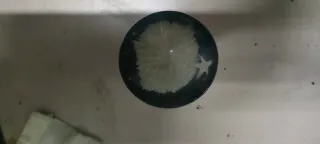 Pomo de palanca de cambios vintage