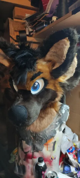 Fursuit Hiena