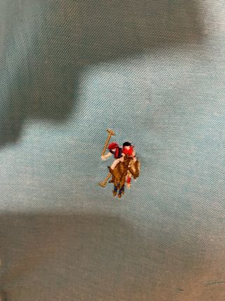 Camisa US Polo Assn Turquesa
