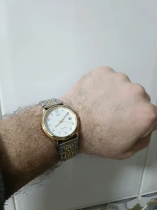 Reloj Citizen Oro y Plata