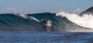 Fish Bear x Atisha 6’0