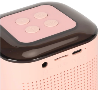 Altavoz Karaoke RGB con 2 Micrófonos