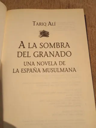 A la sombra del granado una novela de la España...