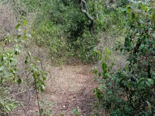 BONITA PARCELA EN ZONA TRANQUILA