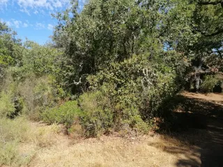 BONITA PARCELA EN ZONA TRANQUILA