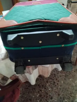 Maleta de viaje acolchada