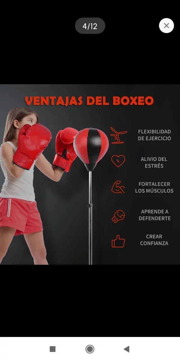 Set Boxeo Infantil con Saco y Guantes