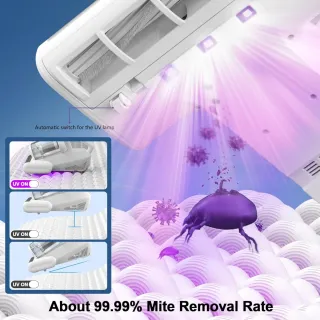 Battimaterasso Antiacaro