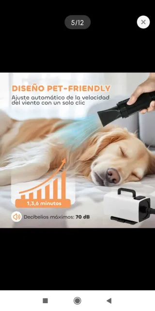 Secador Profesional para Perros 2200W