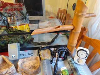 Terrario con accesorios para reptiles