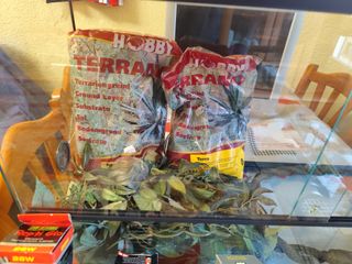 Terrario con accesorios para reptiles