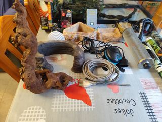 Terrario con accesorios para reptiles