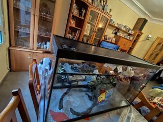 Terrario con accesorios para reptiles