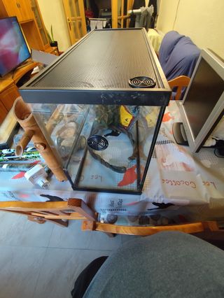 Terrario con accesorios para reptiles