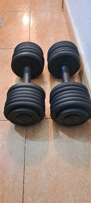 PESAS 2 MANCUERNAS DE 16KG