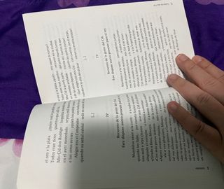 CANTAR DE MIO CID (Spanish Edition)