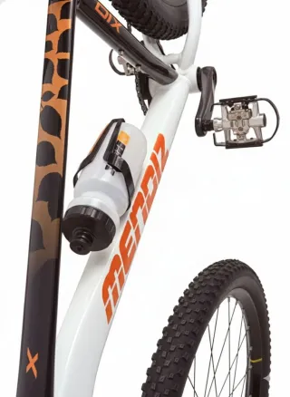 Bicicleta Montaña L 29