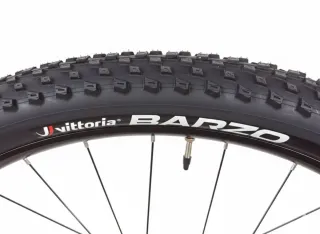 Bicicleta Montaña L 29