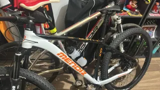 Bicicleta Montaña L 29