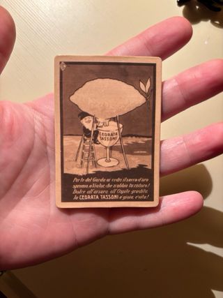 Calamita NUOVA RARISSIMA Originale”CEDRATA TASSONI