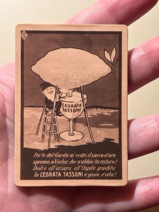 Calamita NUOVA RARISSIMA Originale”CEDRATA TASSONI