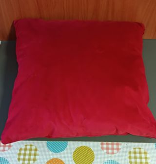 Cojín cuadrado 55x55