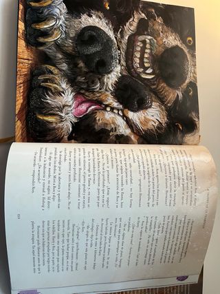 Harry Potter y la piedra filosofal (Harry Potte...