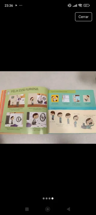 El imaginario de los sentimientos de Félix