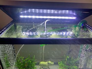 Acuario/Pecera Completa