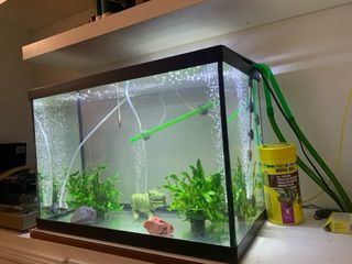 Acuario/Pecera Completa