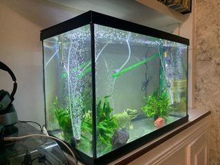 Acuario/Pecera Completa