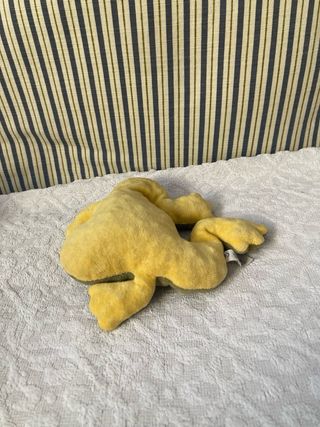 Peluche Rana Riscaldabile