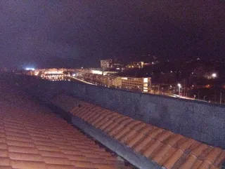 Chaleco estampado animal print