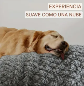 120x60 cm-Cama para mascotas Gris