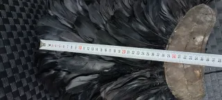 PLUMAS CARNAVAL ROMANO INDIO