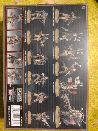 Kill Team Blooded Warhammer 40,000