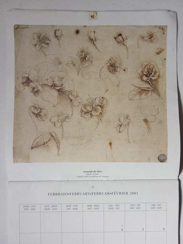 Calendario con láminas de Leonardo da Vinci