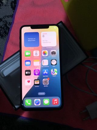 iPhone 11 Pro Max Gris