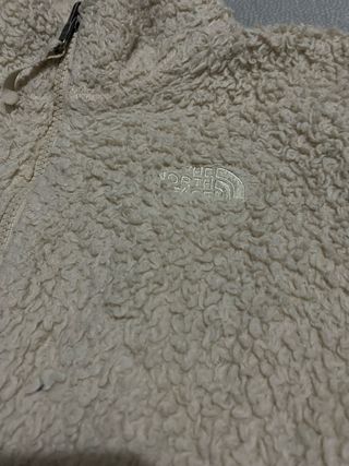 Pile The North Face Beige