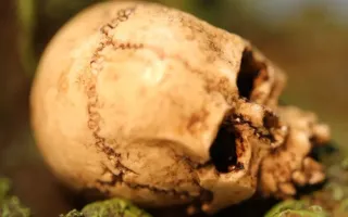 Figura Edward Kenway Assassin's Creed IV: Black Fl