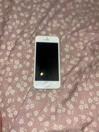 iPhone 5s Oro/Argento