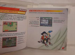 Pokemon Ranger Nintendo DS