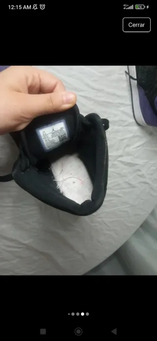 Nike Jordan Tenis Morado y Negro