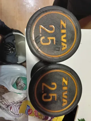 Mancuernas ZIVA 2.5 kg (par)