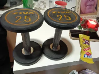 Mancuernas ZIVA 2.5 kg (par)