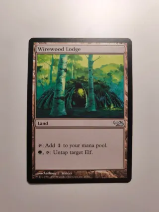 Pabellón de wirewood - Magic The Gathering Carta
