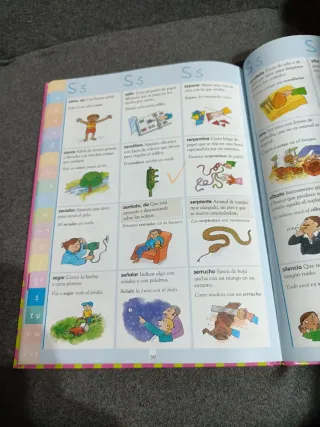 Mi Primer Diccionario Infantil SM