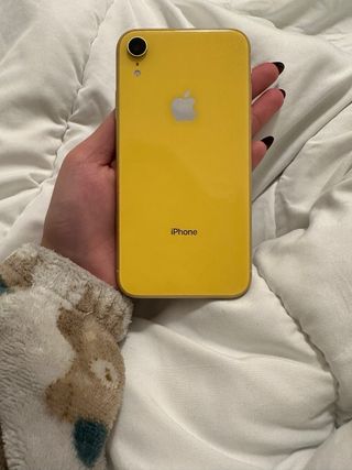 iPhone XR
