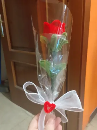 Rosa rossa San Valentino