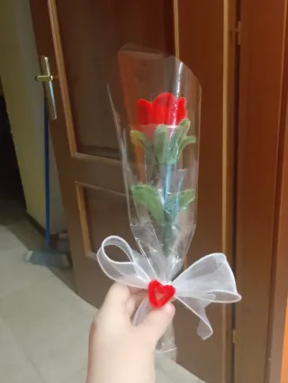 Rosa rossa San Valentino